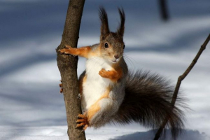 Dziesięć niesamowitych faktów o białkach, których nie znałeś